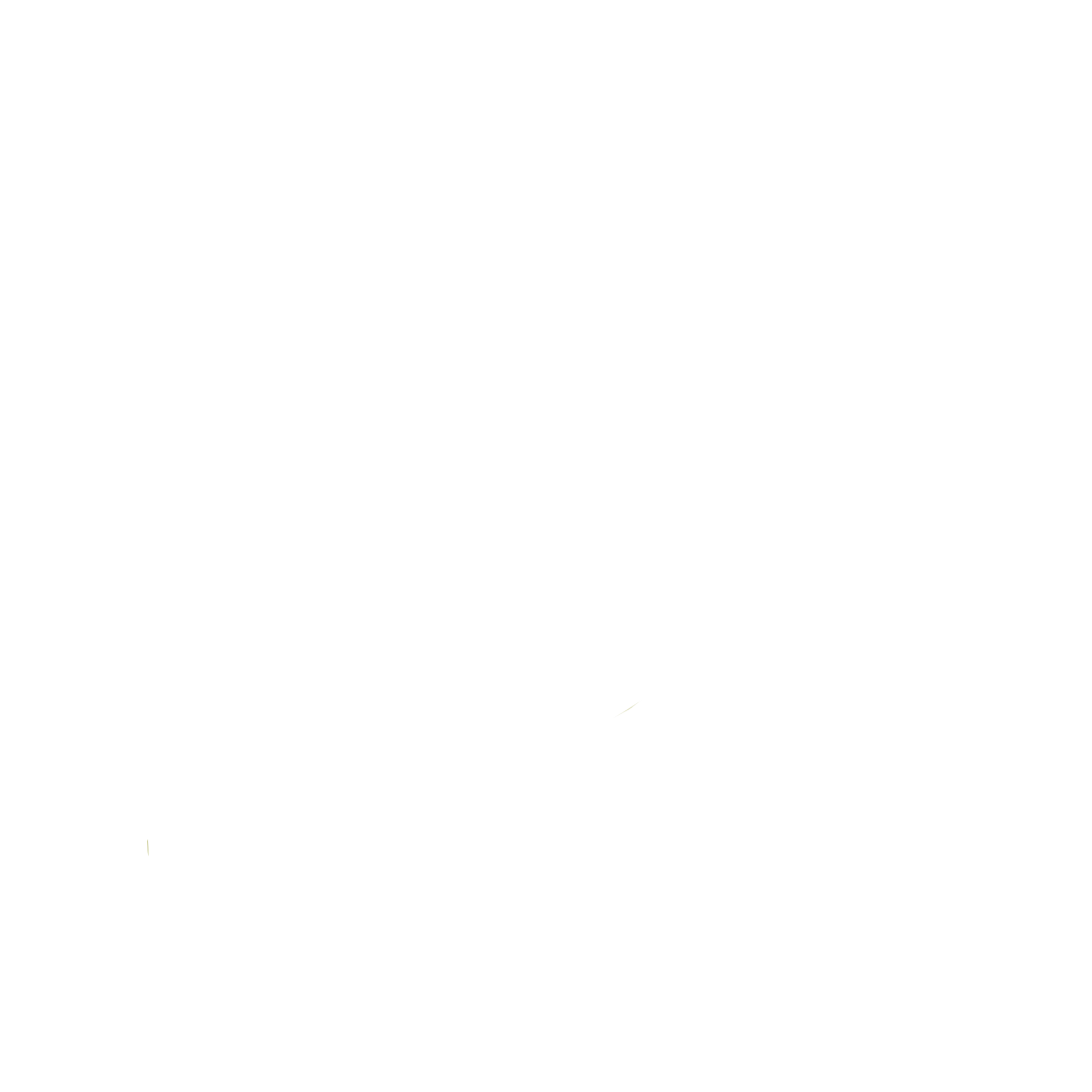 Scienelle